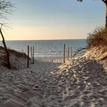 Hexagon Nr 10 Grzybowo (West Pomeranian)